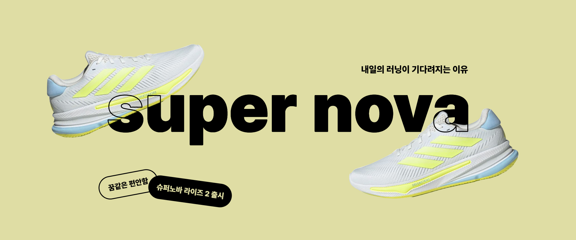 아디다스 신제품 출시 배너