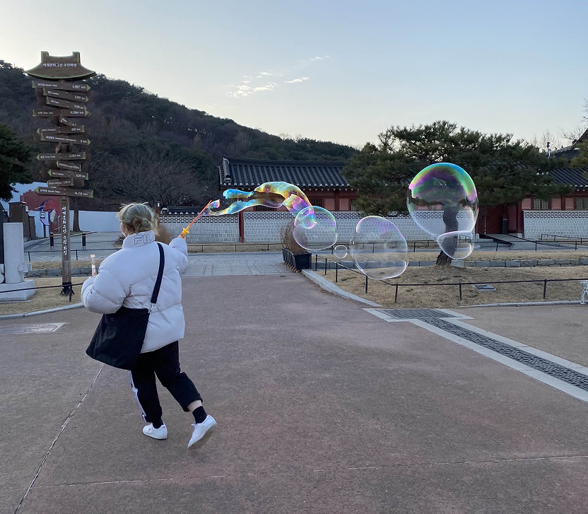 이혜림 웹디자이너의 사진