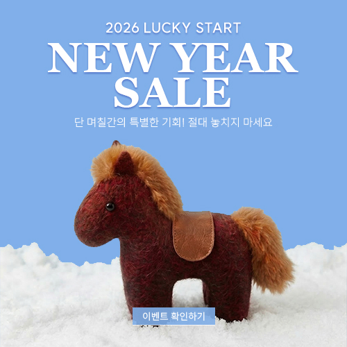 새해 세일 이벤트 팝업